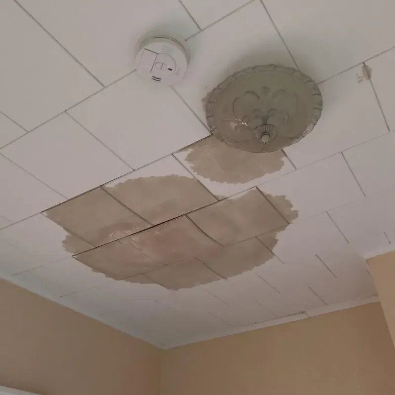 Ceiling Water Damage Repair in Amherst County, VA