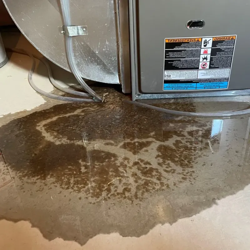 Pipe Burst and Leak Restoration in Amherst County, VA