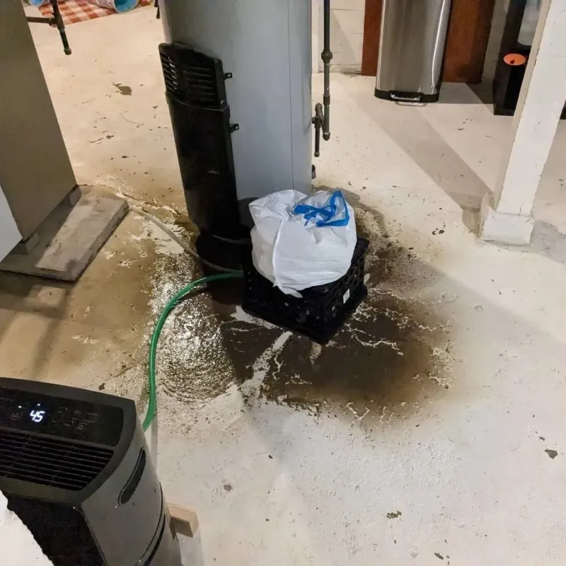 Sewage Backup Cleanup Service in Amherst County, VA